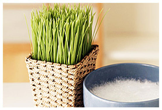 Chiropractic and Professional Staff Picture