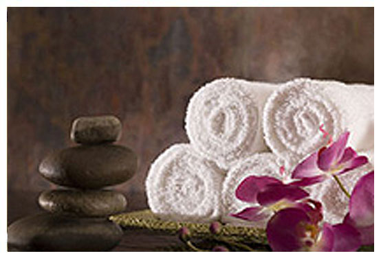 Chiropractic and Professional Staff Picture